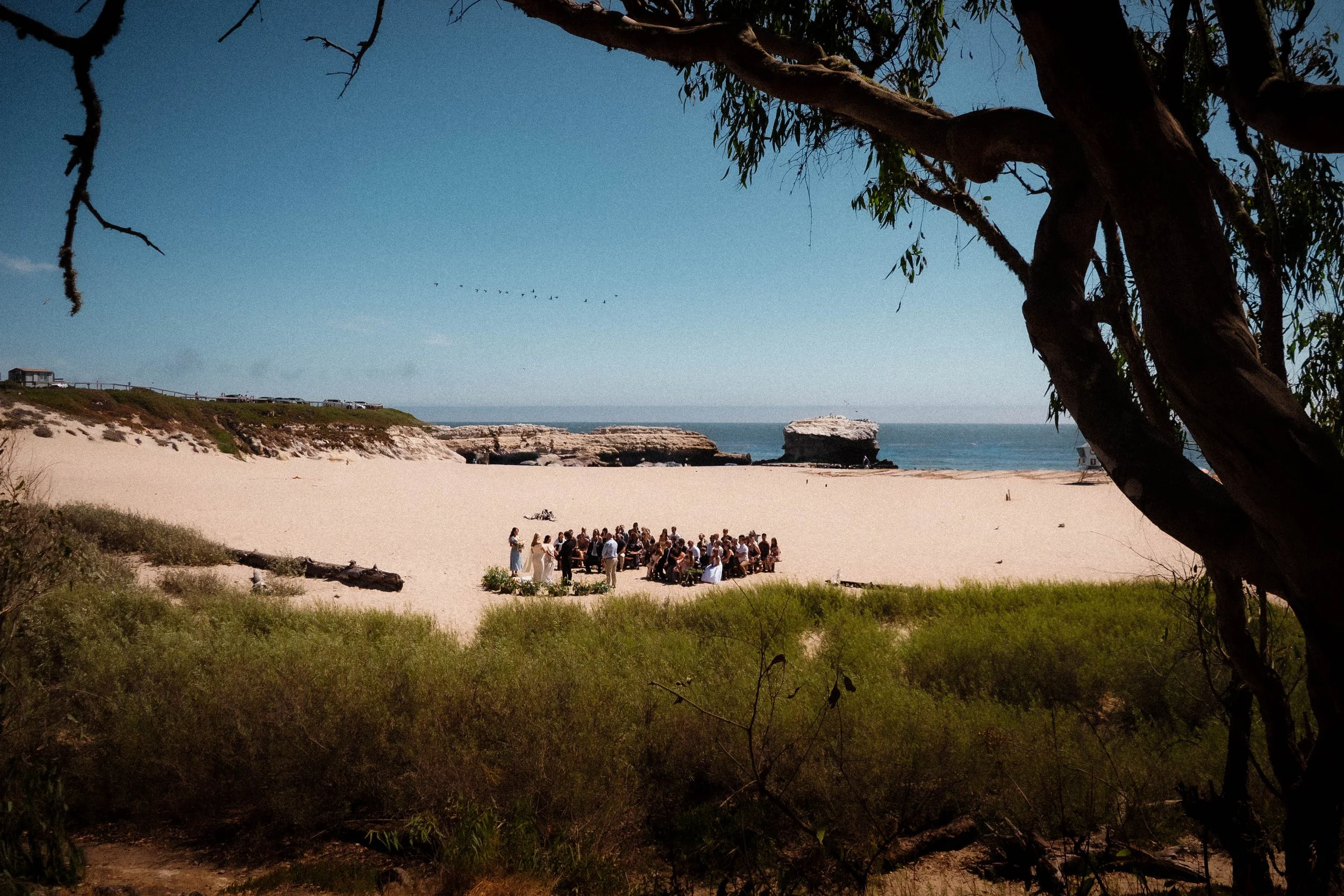 A group of people gathered on a sandy Santa, Cruz California beach for a wedding ceremony, with the ocean and rock formations in the background, and trees framing the foreground.