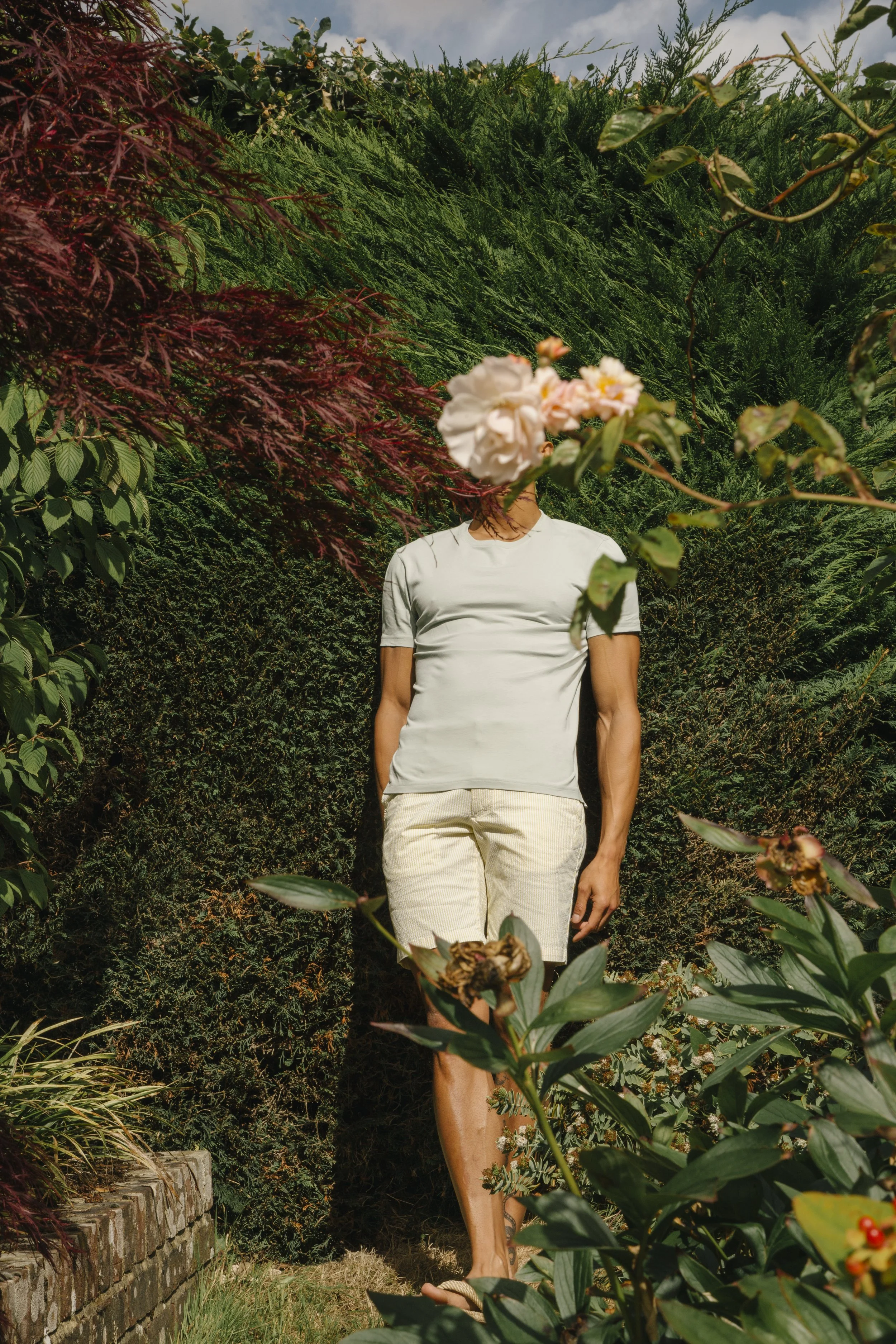 Spoke High Summer 22