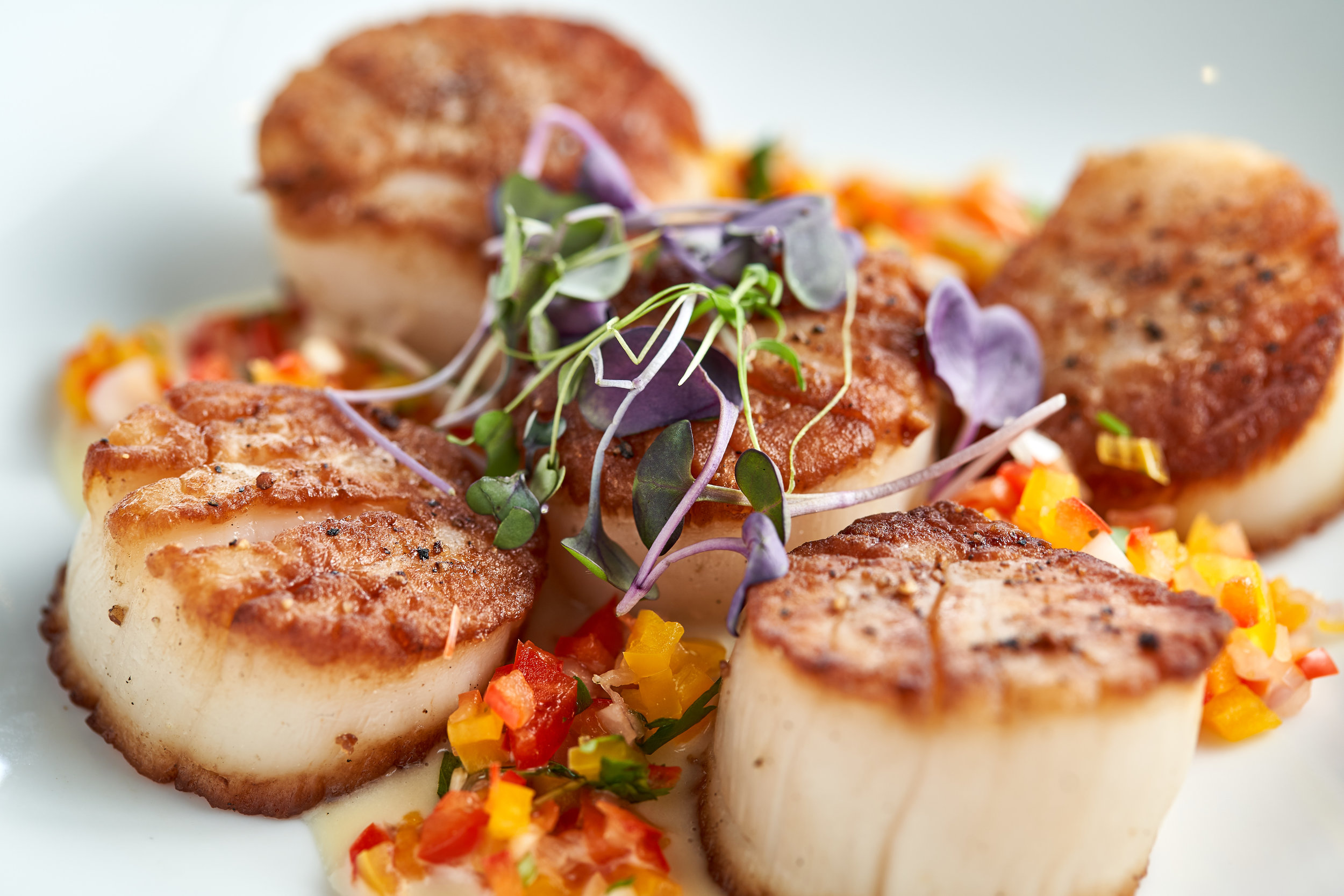 B&B_Scallops6007.jpg