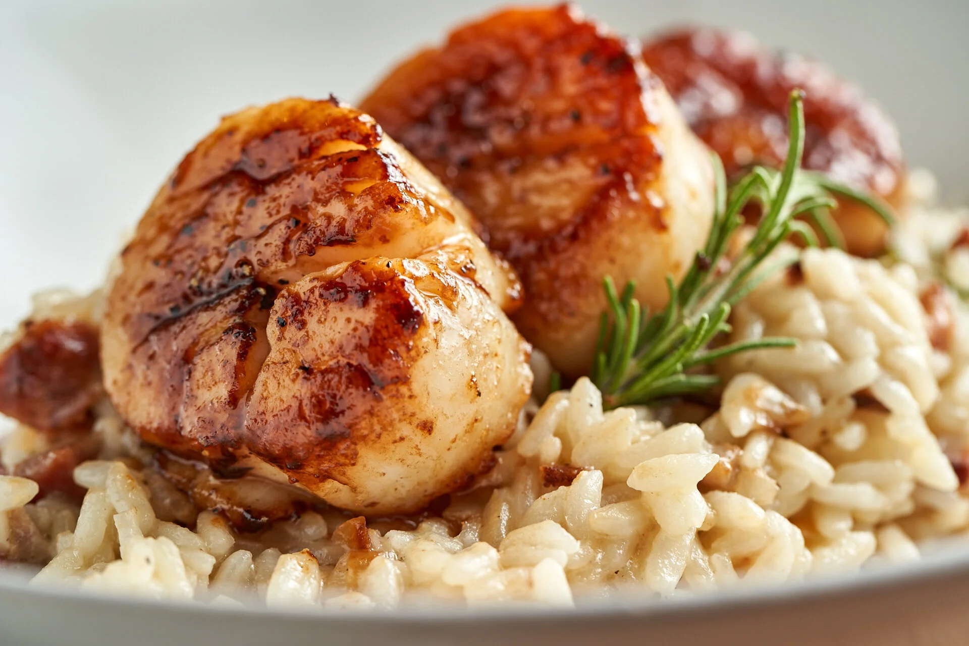CASA MIA_Scallops_0419.jpg