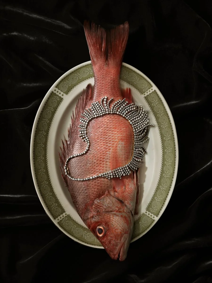 Christmas 2024 - Still Life - Medium.jpg