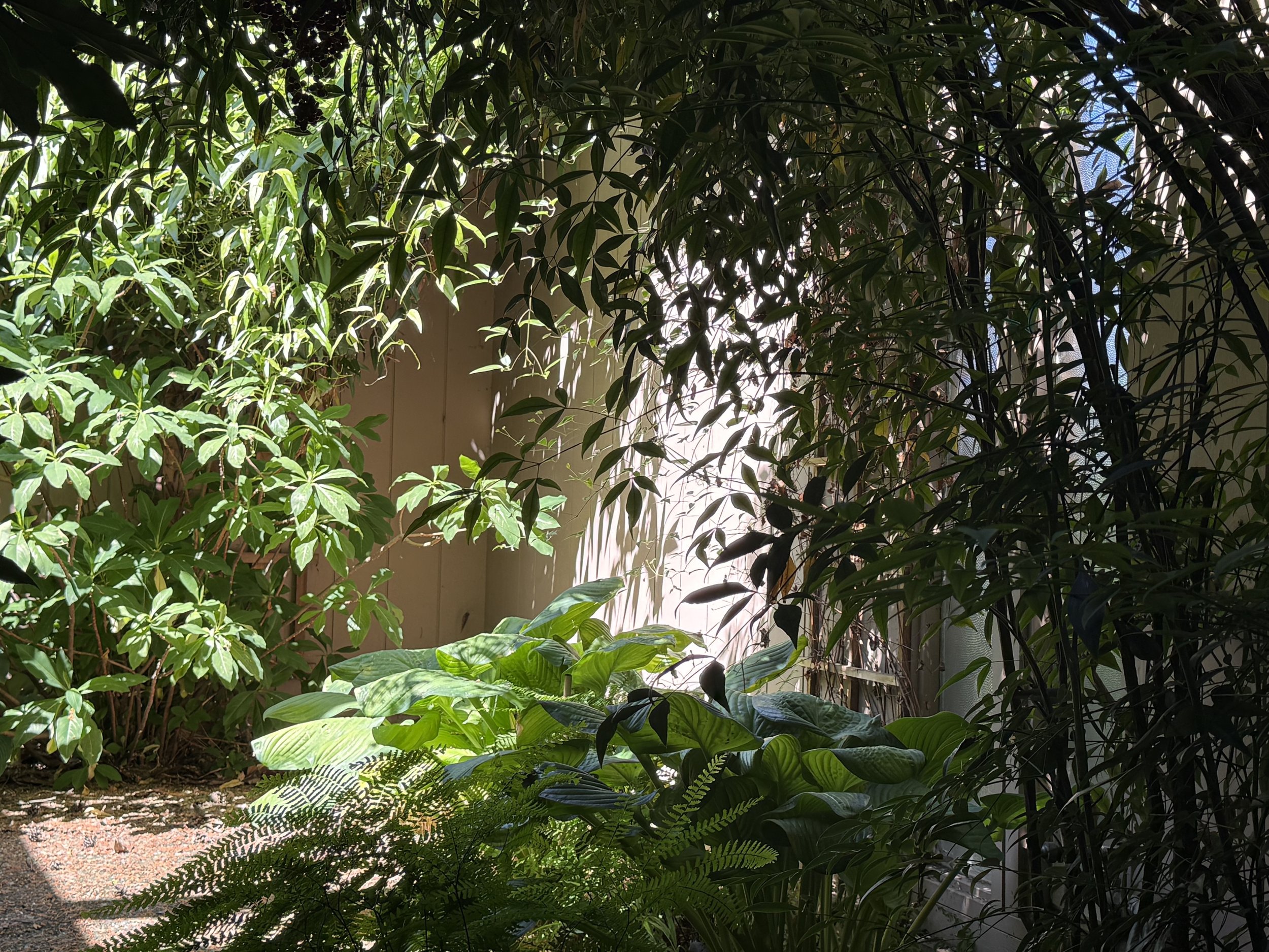 IMG_new atrium.jpg