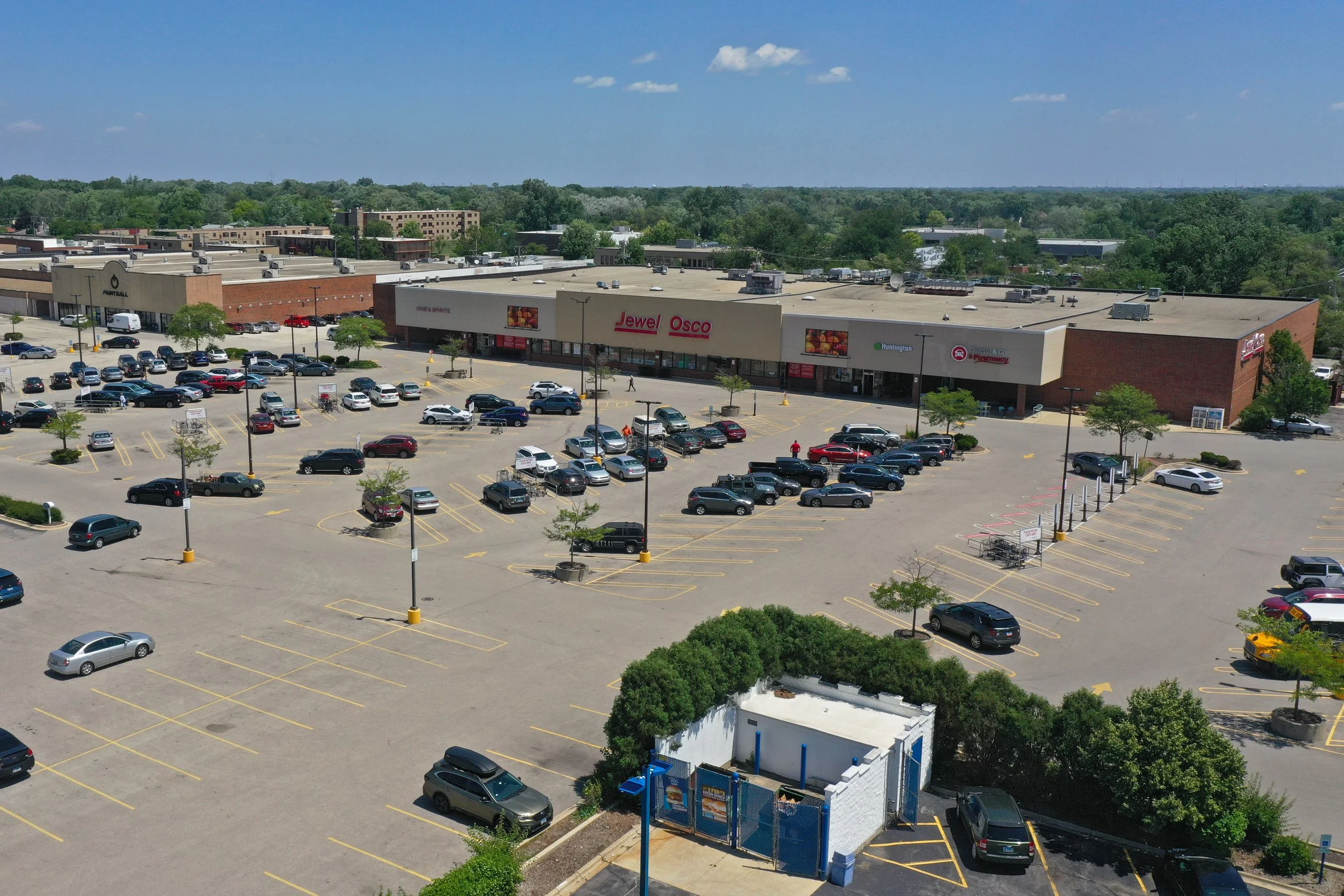 03-Lombard Pines.jpg