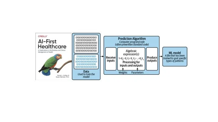 AI First Healthcare - Chapter 1 Excerpts