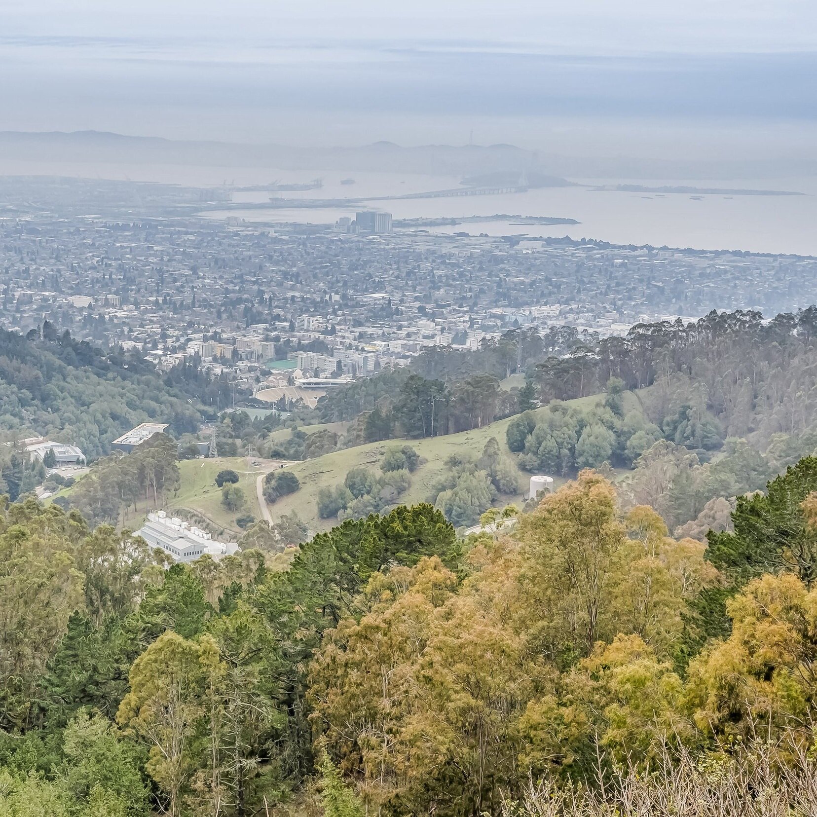 030_Grizzley Peak View.jpg