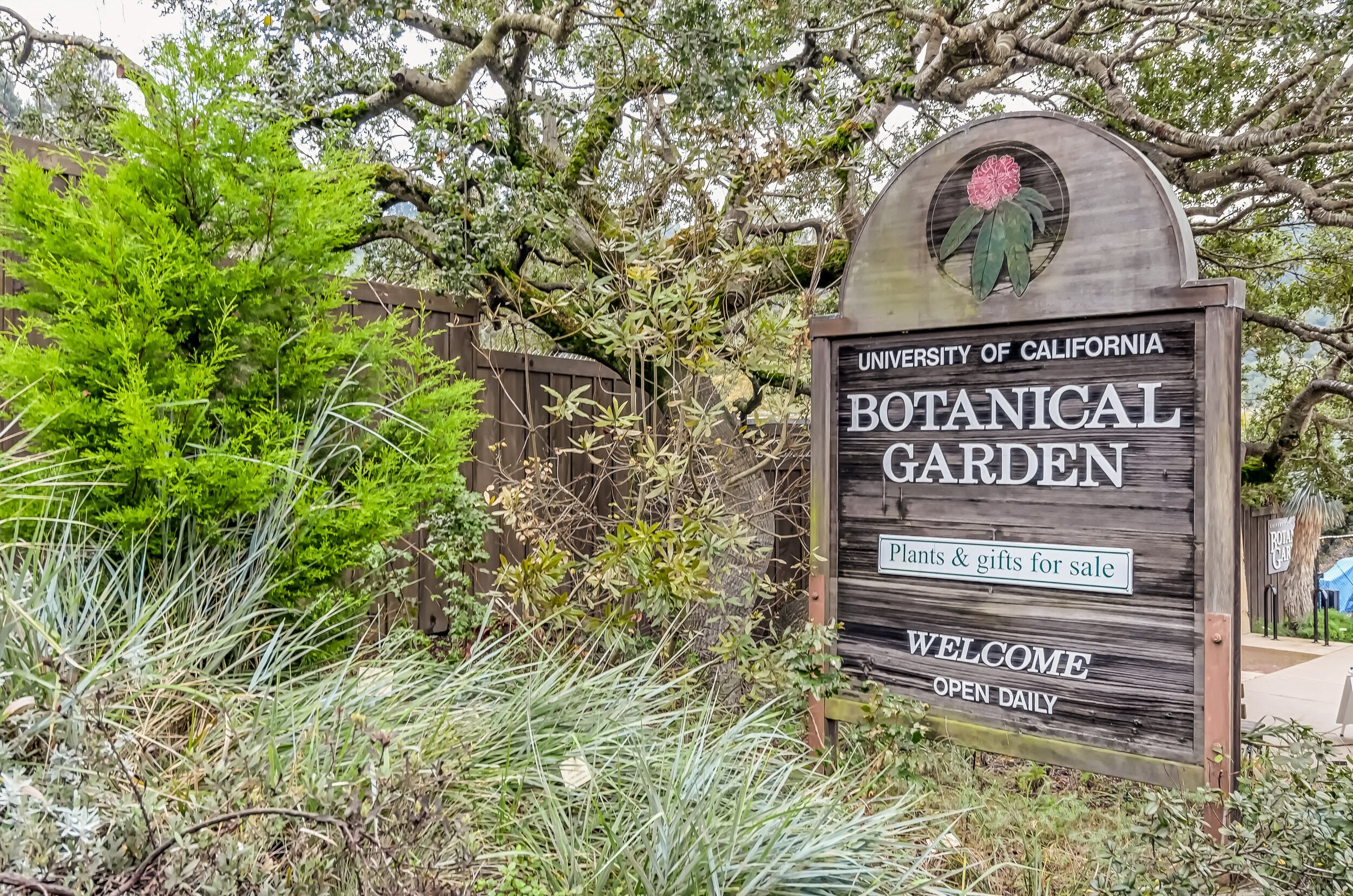 029_CAL Botanical Garden.jpg
