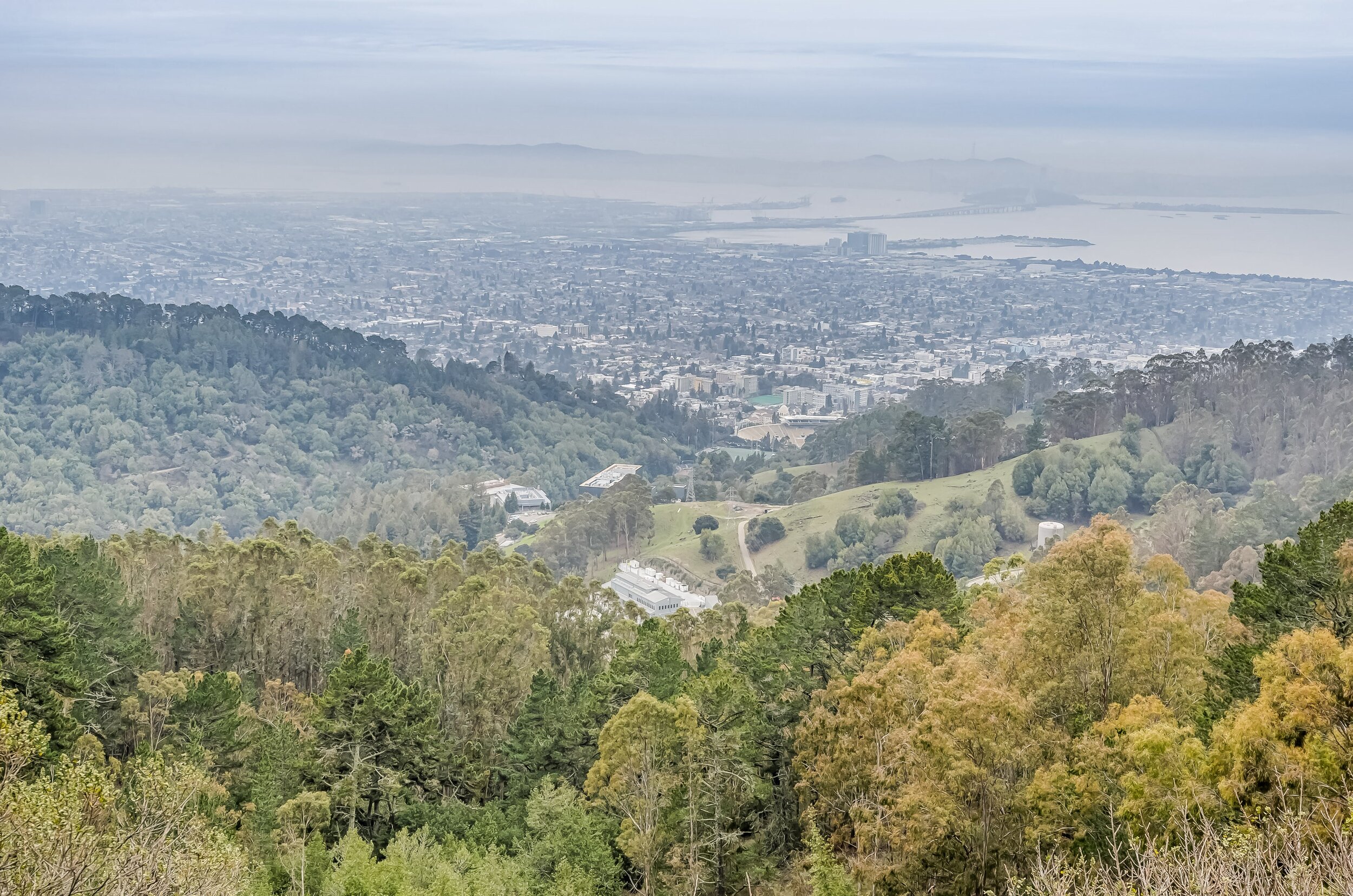 030_Grizzley Peak View.jpg