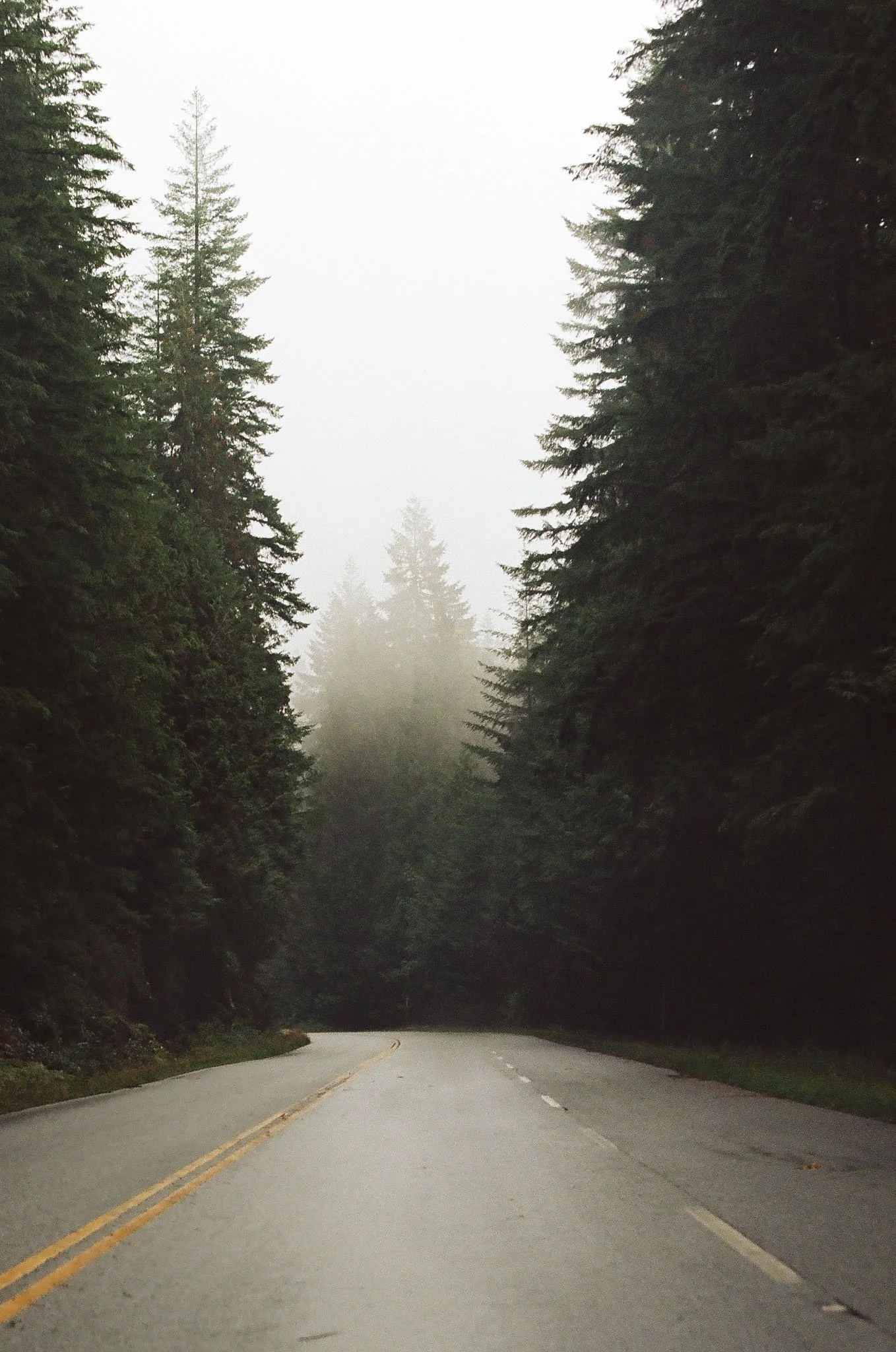 0020_19A.jpg
