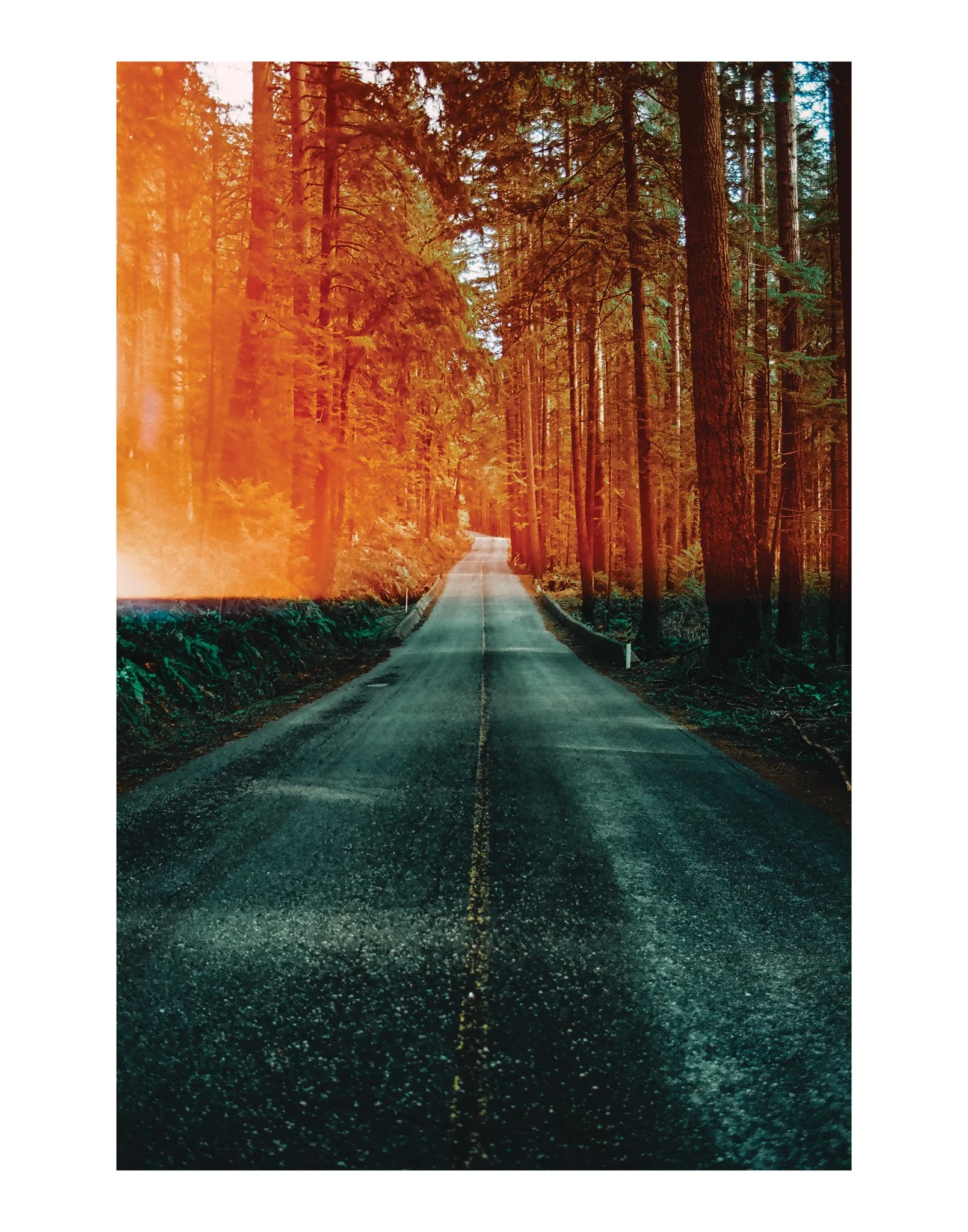 Untitled-1.jpg