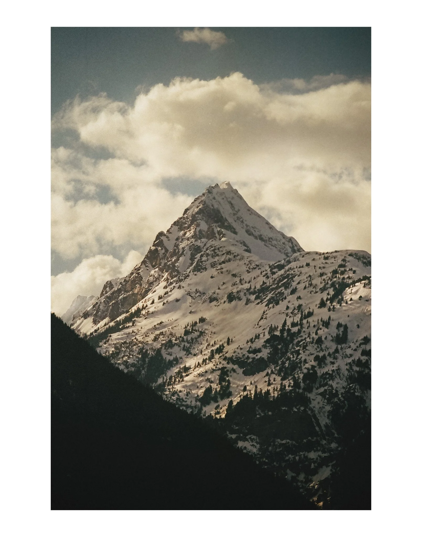 Untitled-1-4.jpg