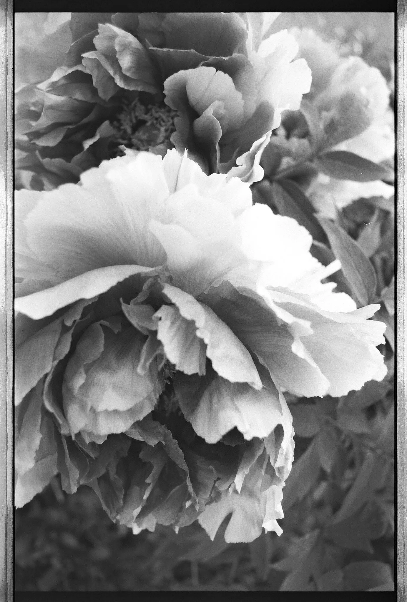 image-50.jpg