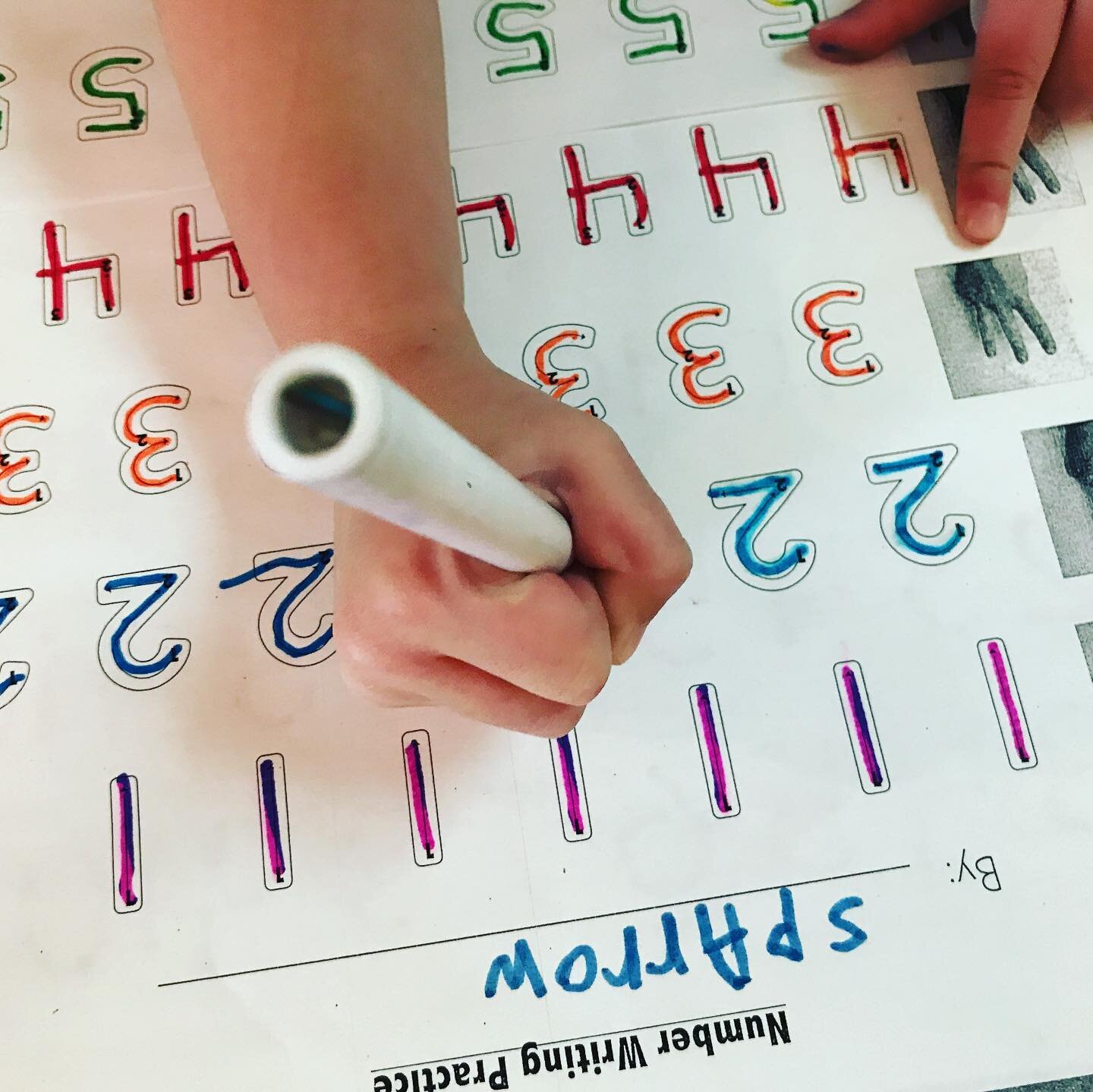 This number formation activity is one of the most effective way I&rsquo;ve found to ACTUALLY help kids write numbers correctly.
🌻
PRO TIP- Have them use *special* color changing markers so they WANT to go over every number a second time!
🌻
You can 