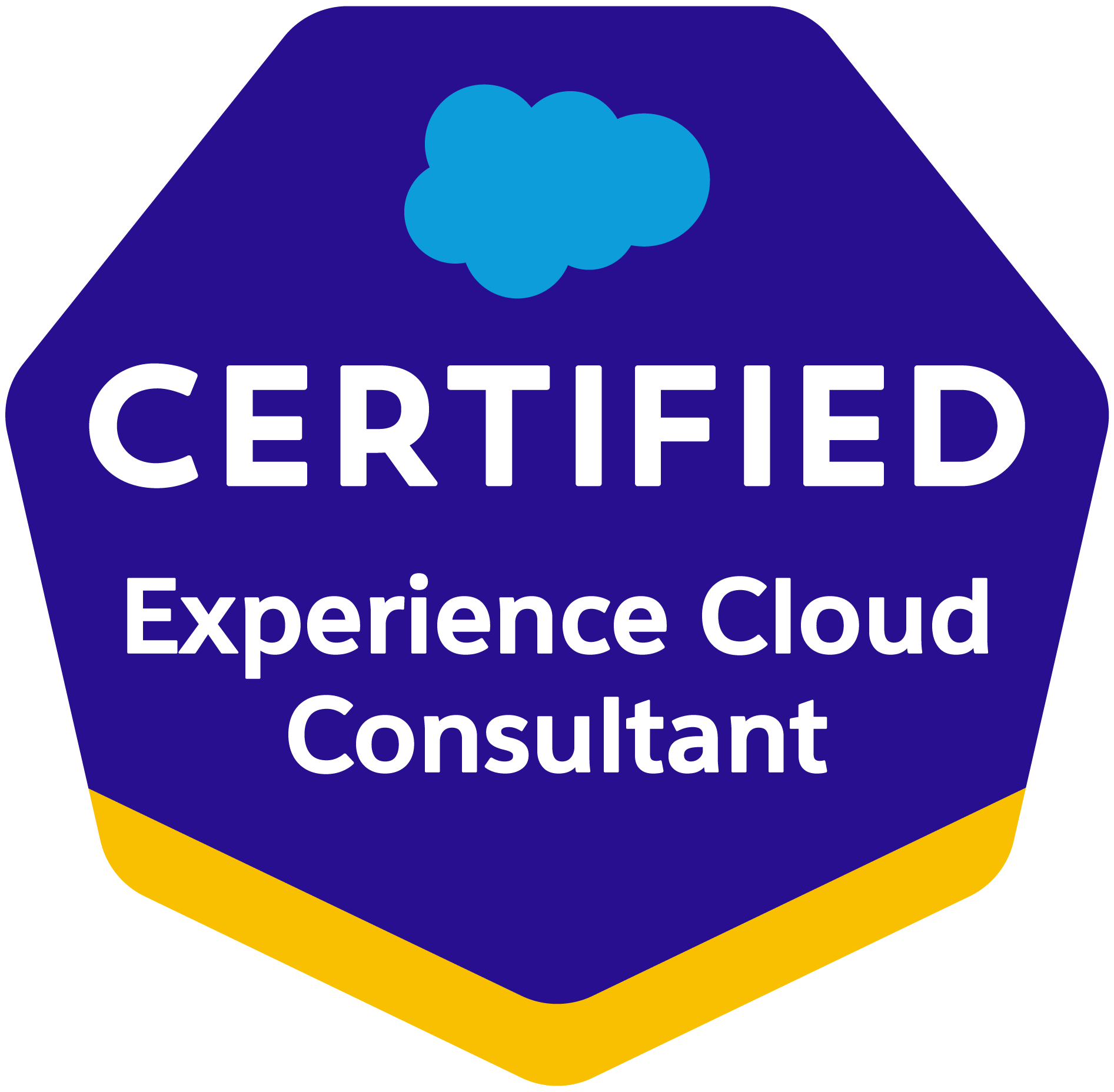 SF-Certified_Experience-Cloud-Consultant.png