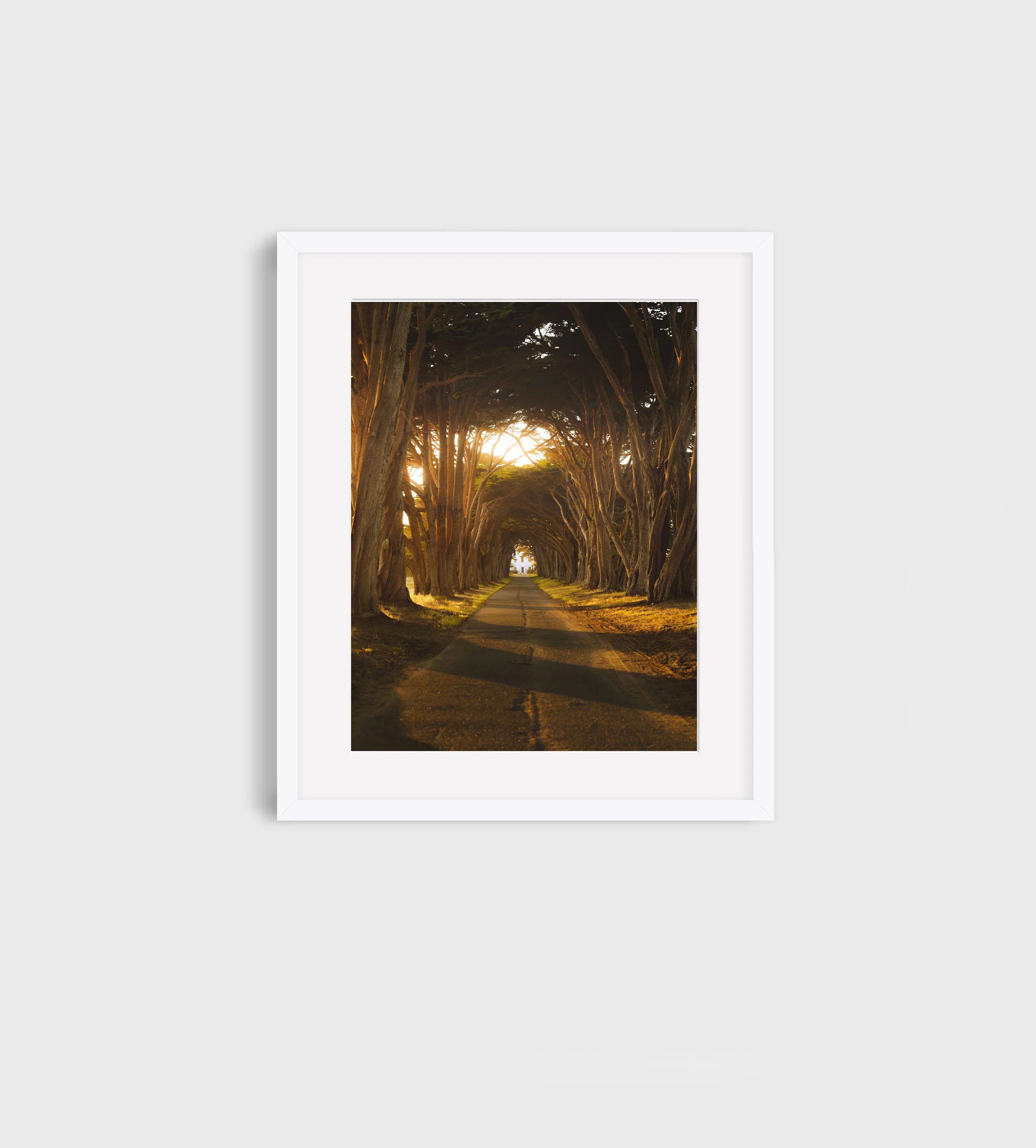 mockup-10.jpg