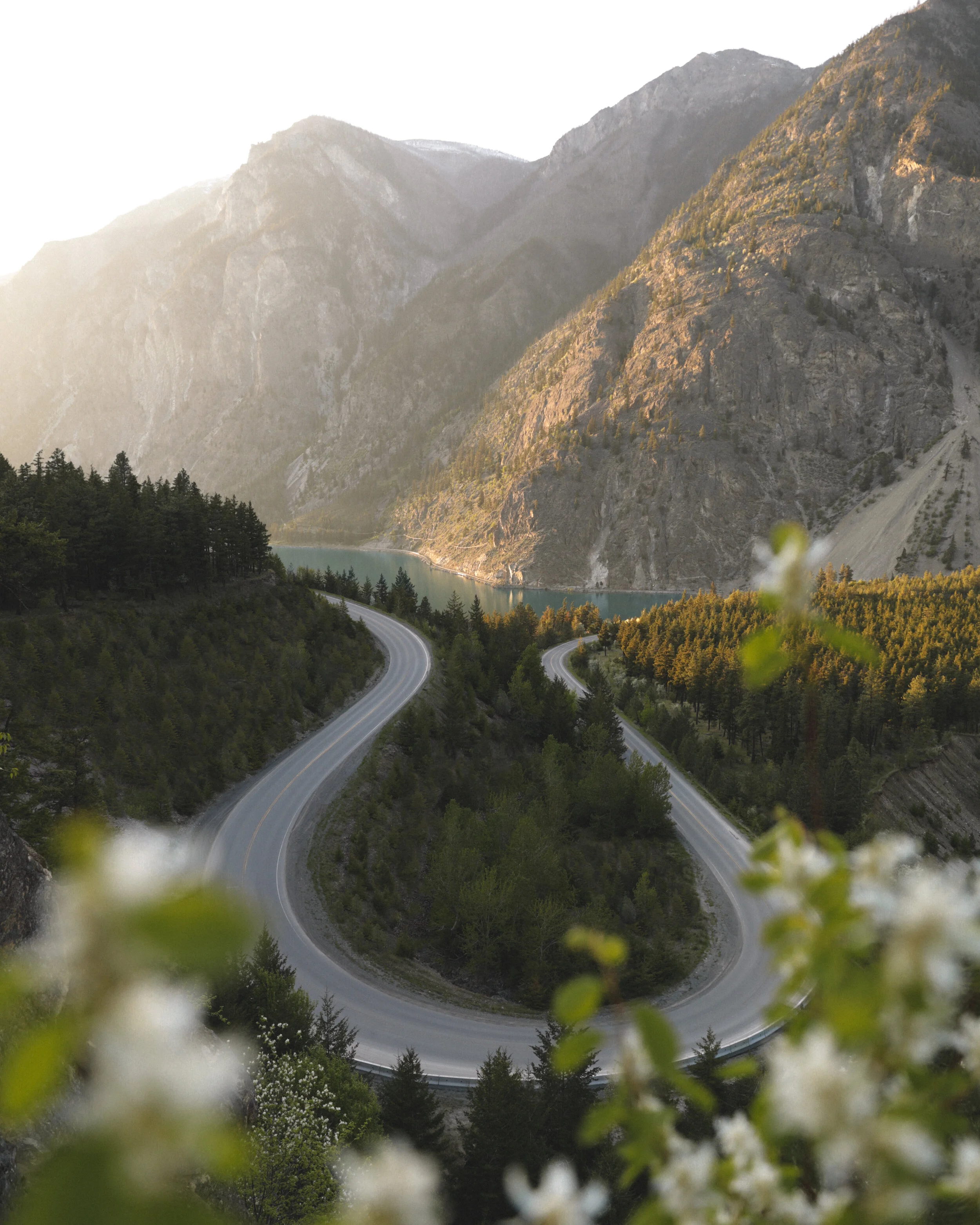 ambrlynn-photography-GoldenBC.jpg