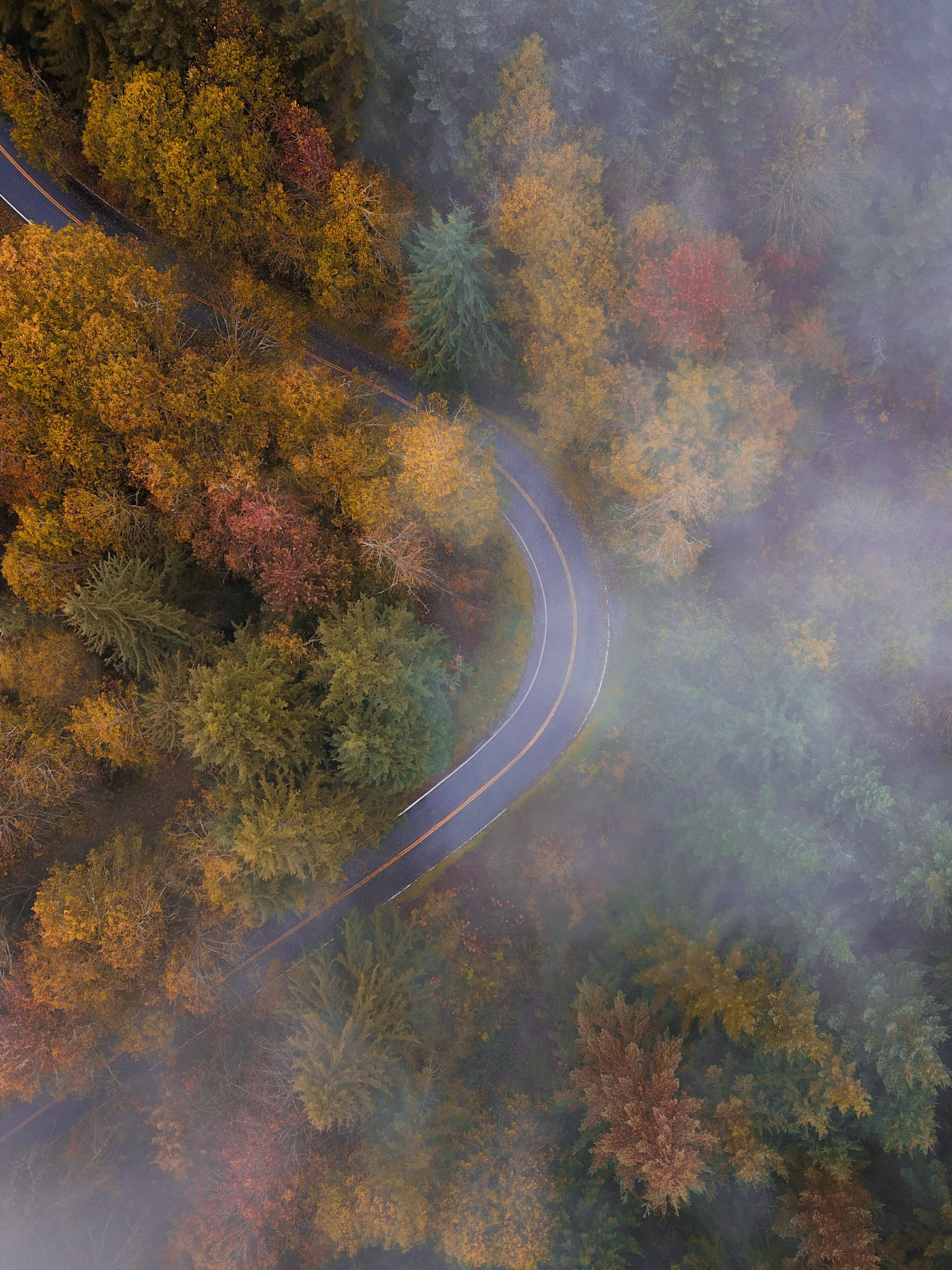 Shades of Fall