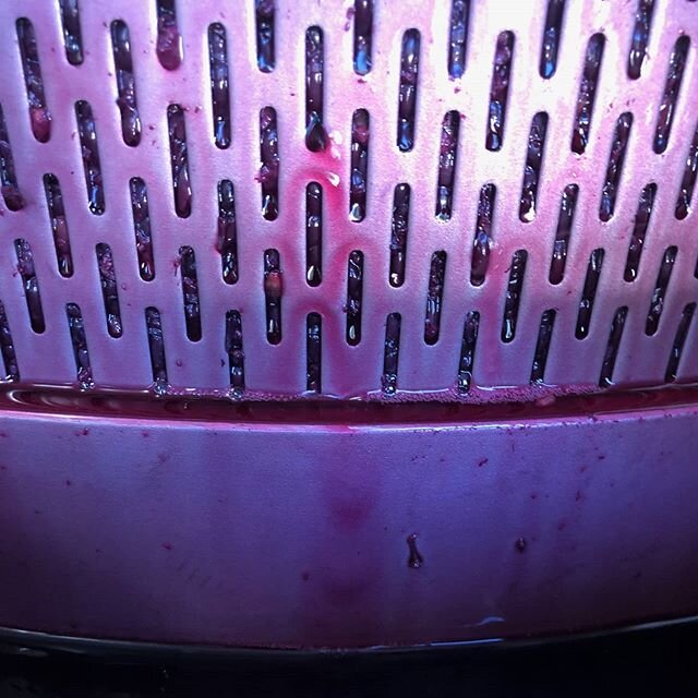 Pressing art. Sagrantino whole berries going through the basket press. Look at that colour!
.
.
#nofilter #sagrantino #vicwine #v20 #gtwine #wholesome #vin #italianstyle