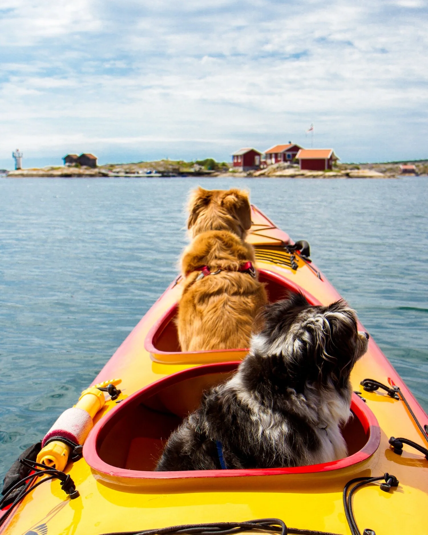 The 5 Best Kayak Roof Racks Of 22 Rugged Man Tool Reviews Tactical Reviews Outdoor Gear Reviews Gear For Hunters Fishermen Websites For Men