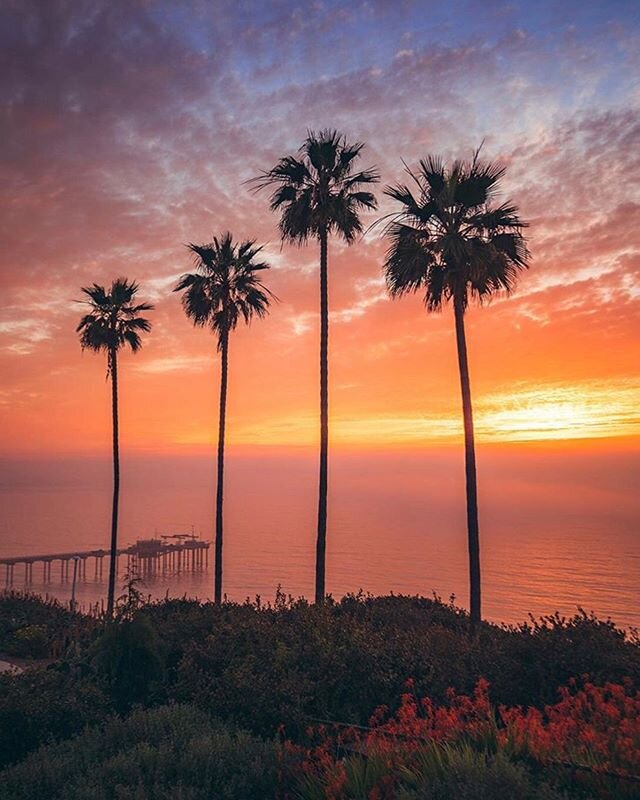 Beautiful sunset at beautiful #LaJolla
shot by 📸 @alec_basanec 
____________________________________________
#SoCal #California #Sunset #SanDiegoSunset #CaliforniaSunsets #Photography #Tbt #throwbackthursday #VisitSD #oceanview #orangesky #sunsetcol