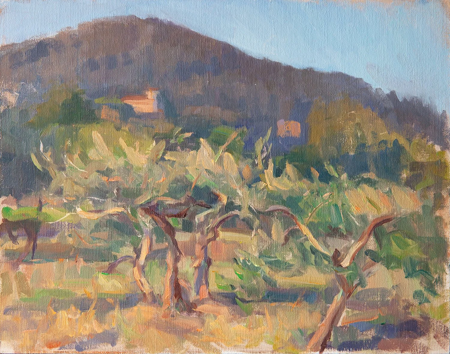 Olive Grove facing Maiano-2.jpg