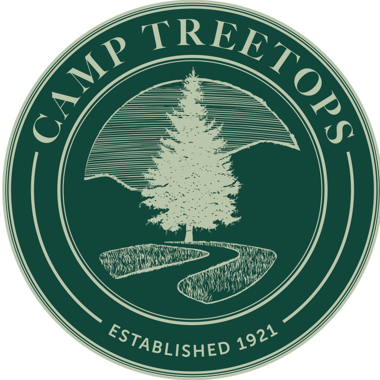 camptreetops.png