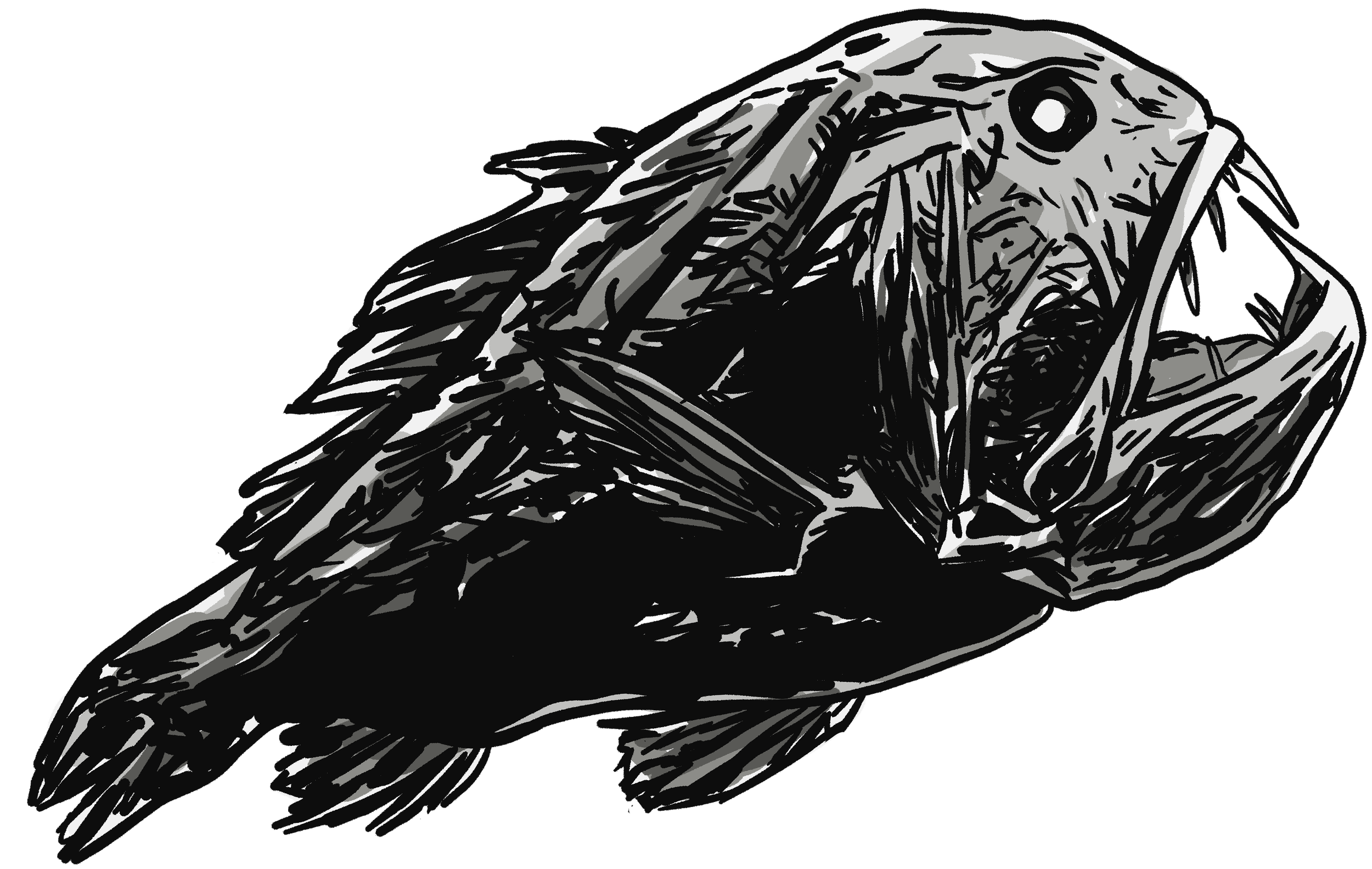 fangtooth fish.png