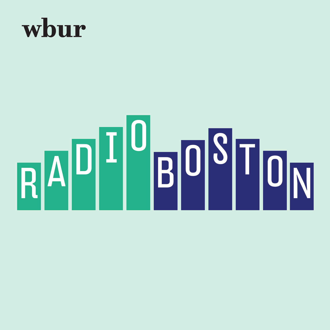 Rosemarie Day Interviewed on WBUR about Current Health Reform Bills
