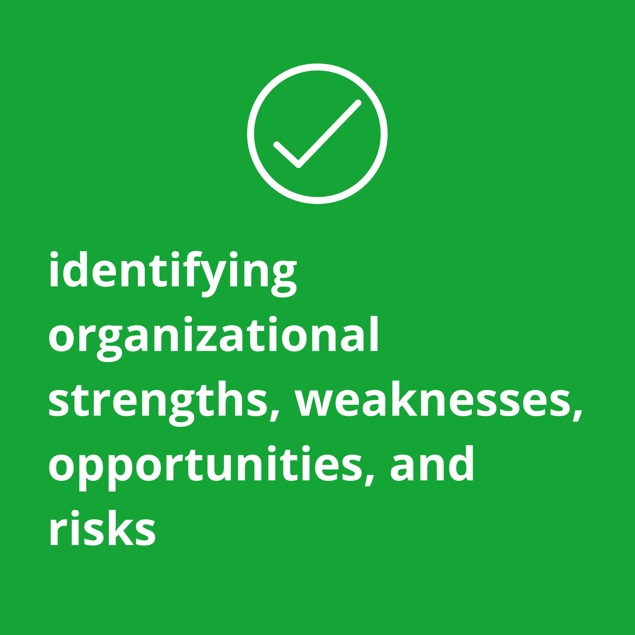 Identifying organizational strengths, weaknesses, opportunities, and risks