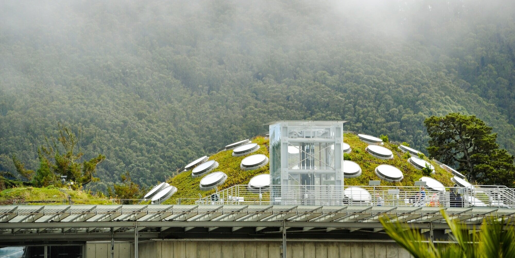 The California Academy of Sciences, by Renzo Piano - San Francisco, California