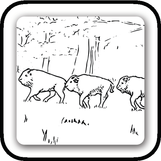 Draw a Bison and other iconic GGP treasures