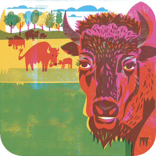 “B is for Bison” GGP150 theme Song