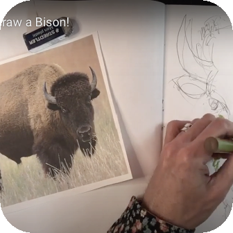 Tutorial from local artist on how to Draw a Bison