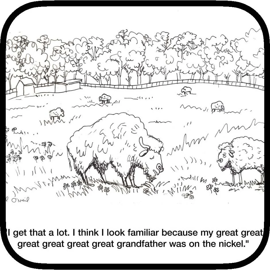 Richmond Review — Where the Bison Roam