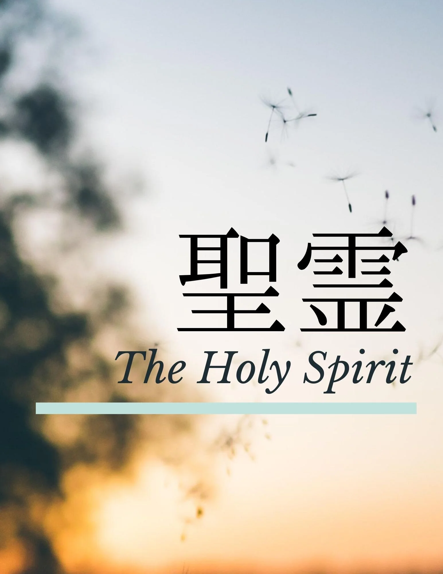 日曜メッセージ：「罪からの解放」Freedom From Sin
