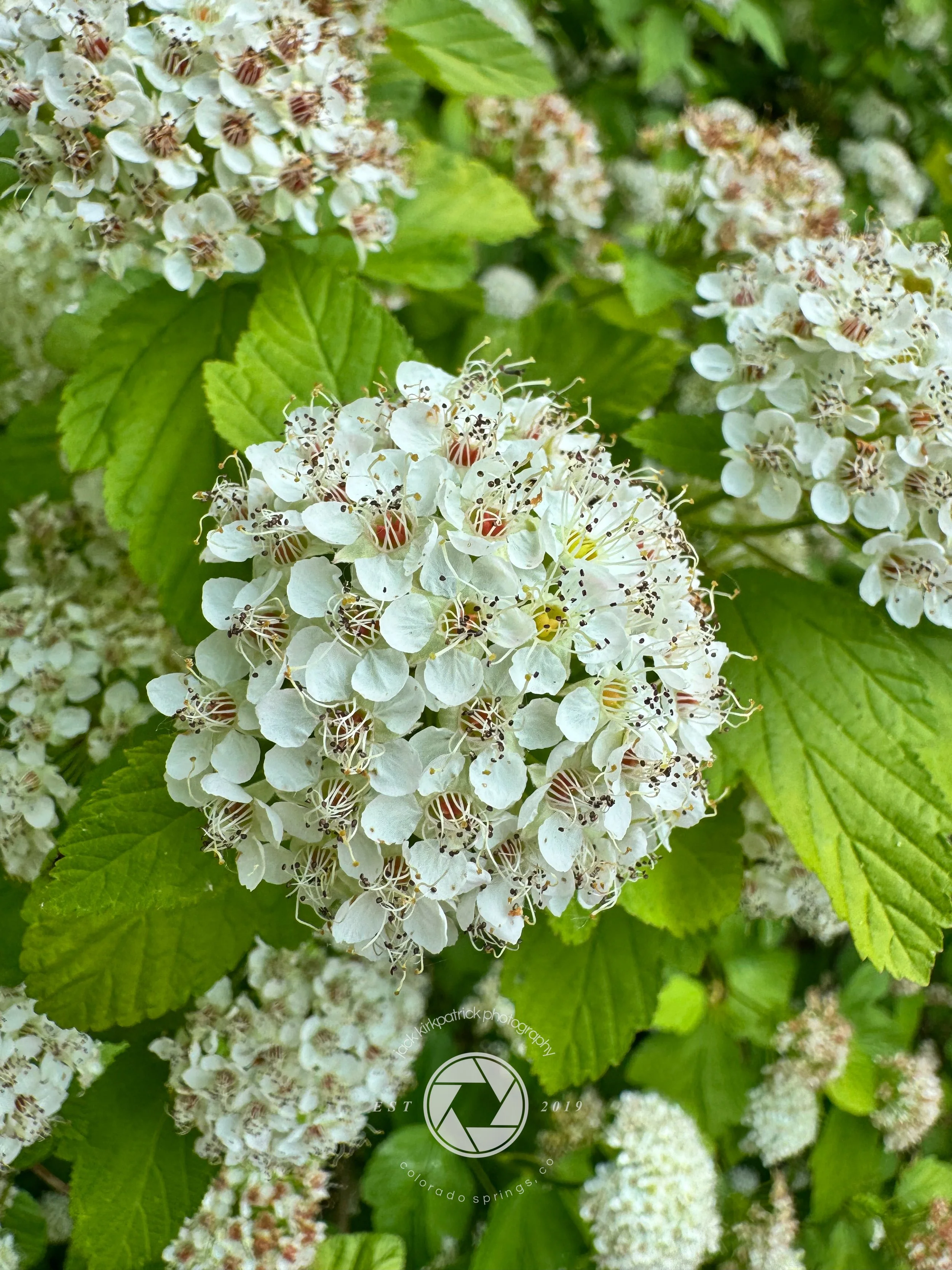 IMG_0853.jpg