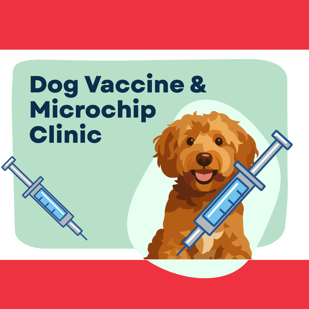Dog Vaccine and Microchip Clinic
