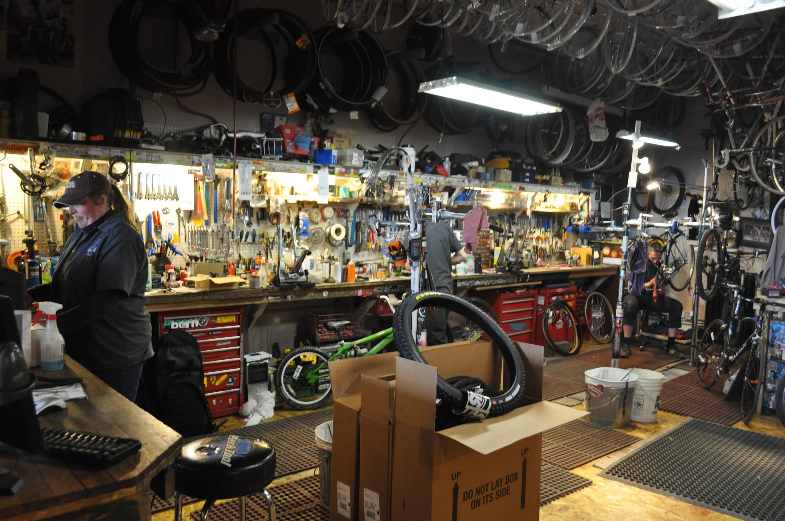 DSC_0036.JPG