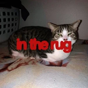 photo_output_heicx.com_convert.jpg