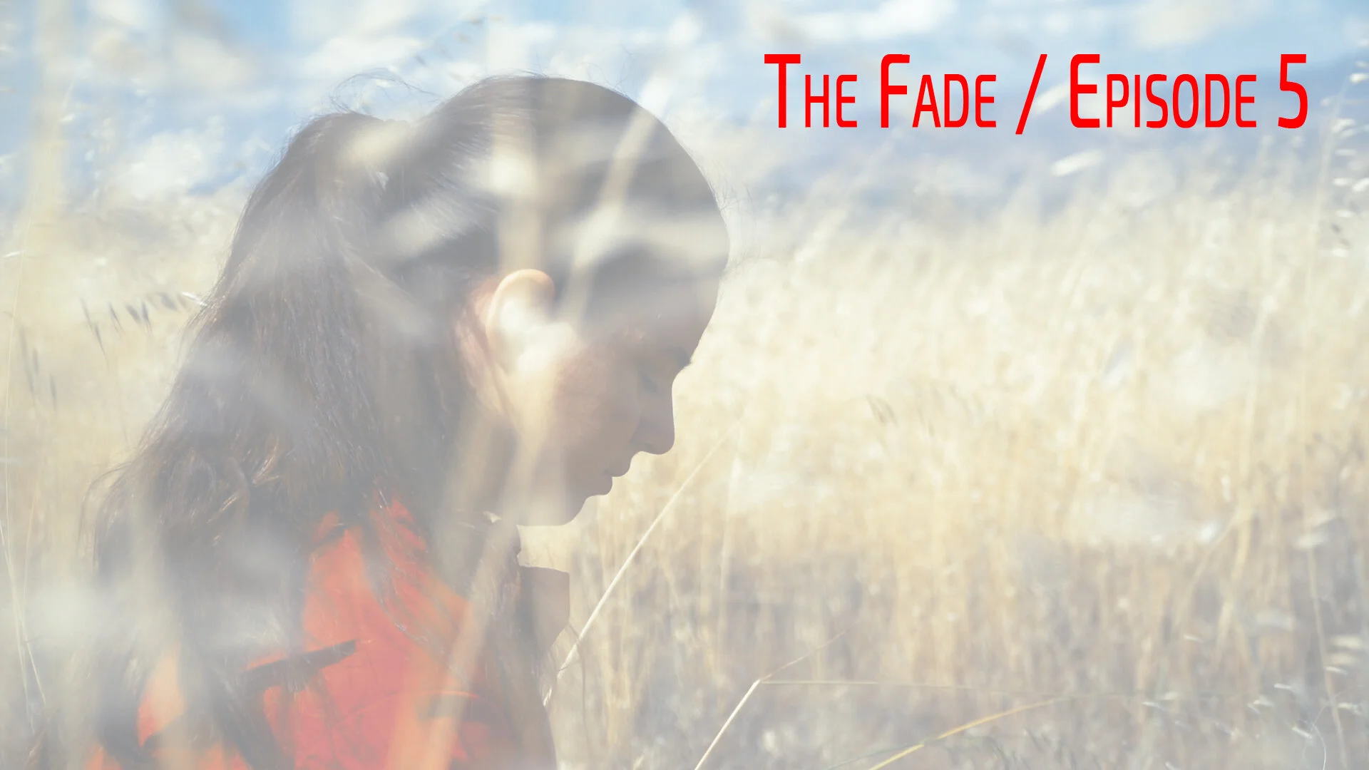  Click    here    to watch the film. 