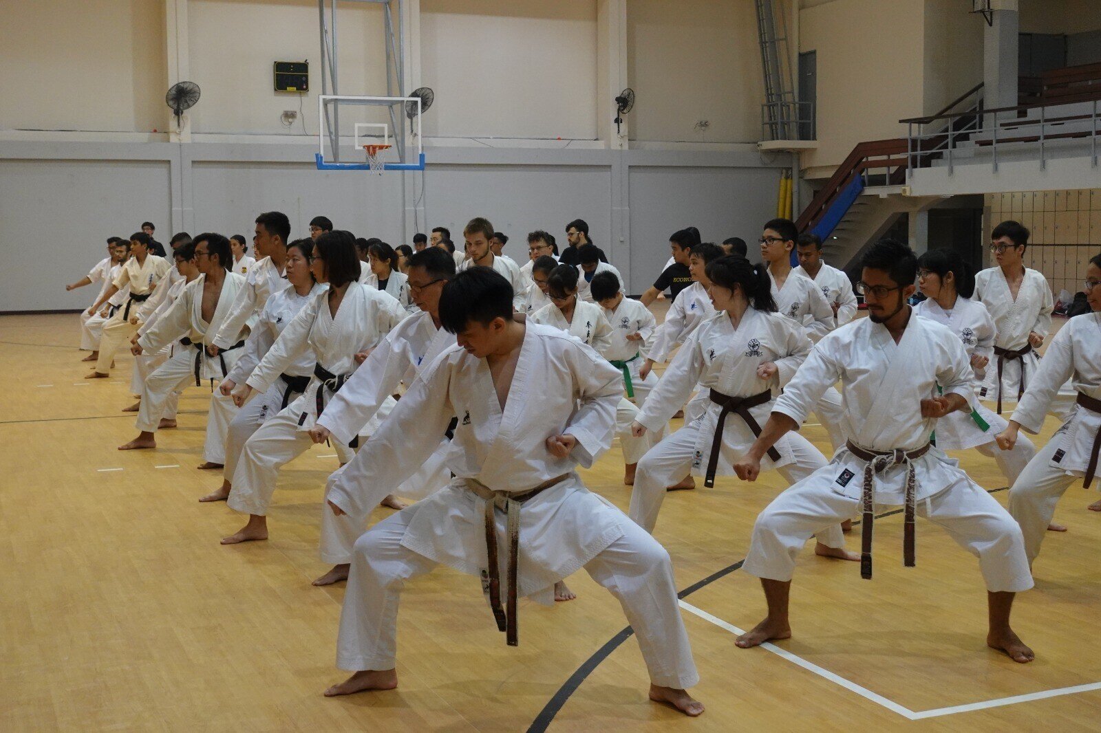 jpg_sc-karate@e.ntu.edu..jpg