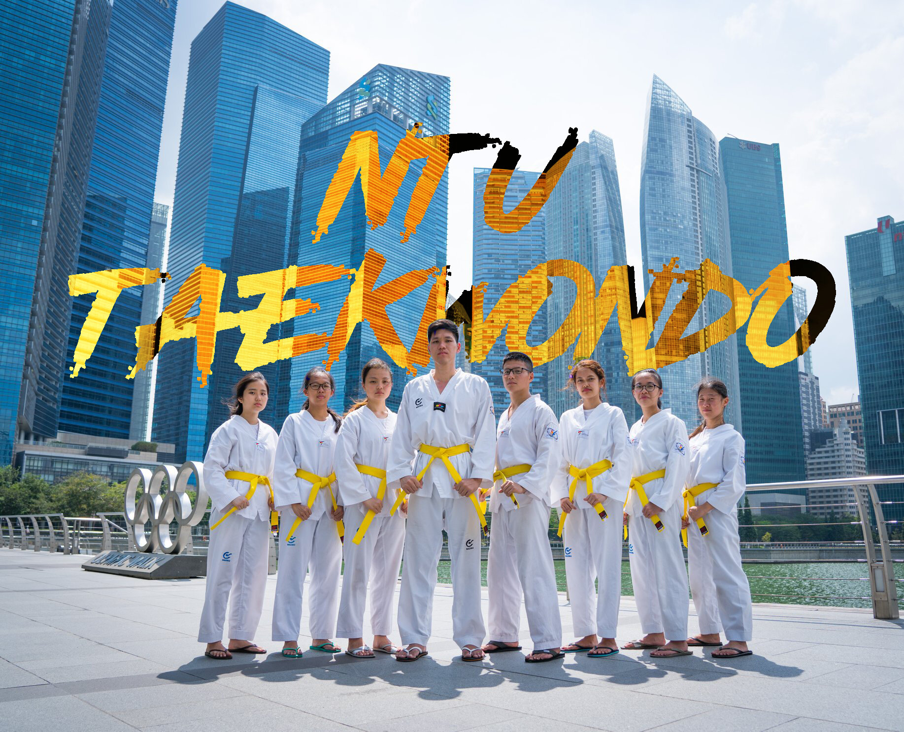 Promotional Poster_sc-taekwondo@e.ntu.e.jpg