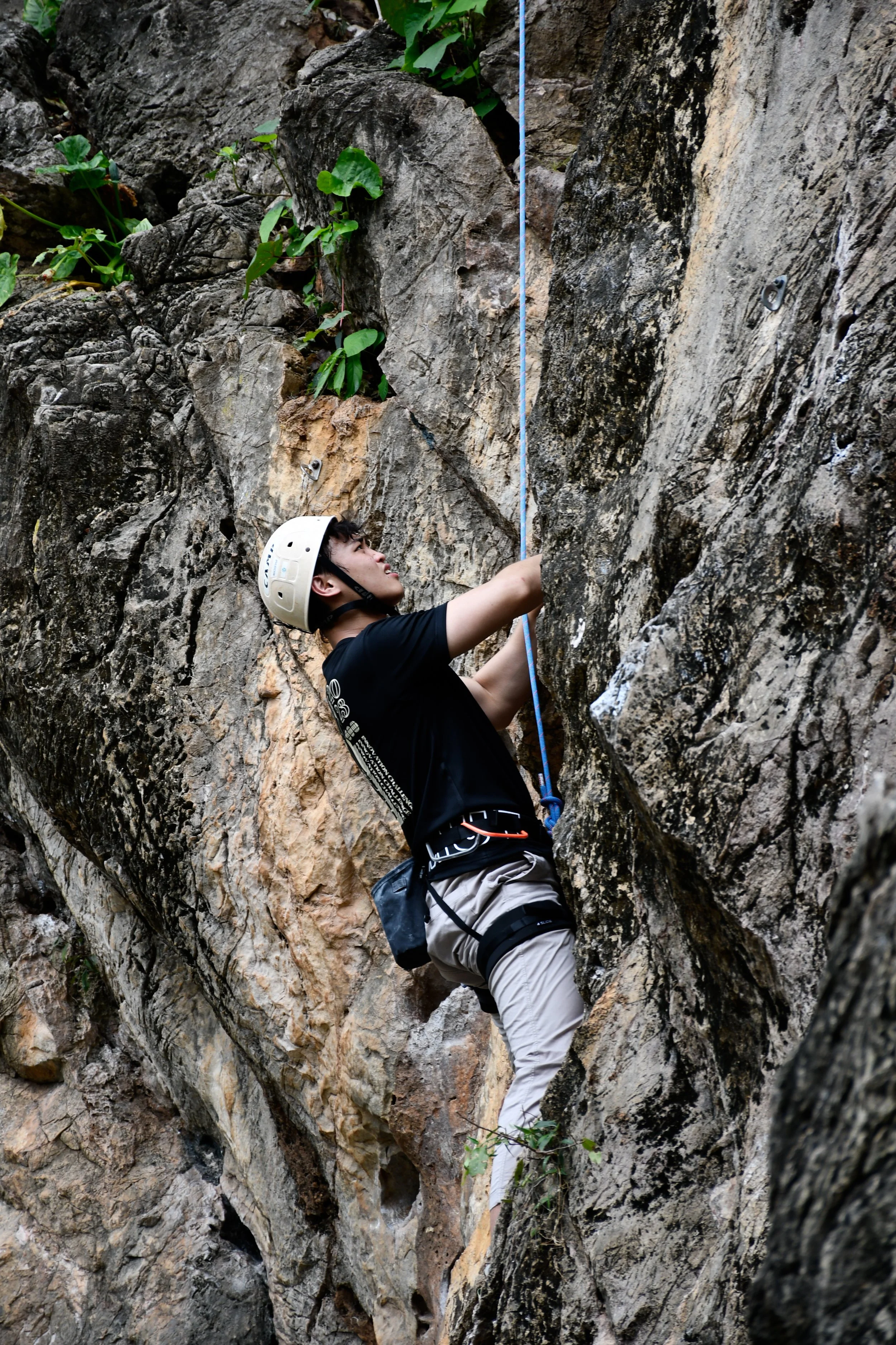 _DSC0900.jpg