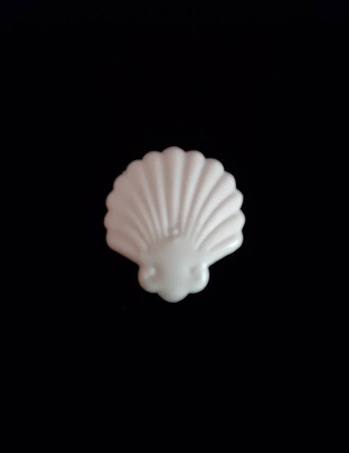 Scallop Shell