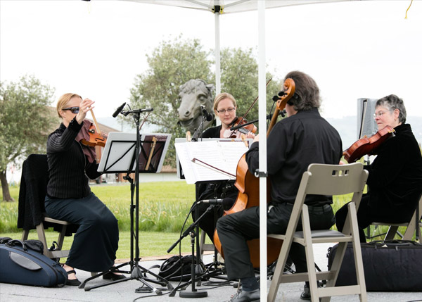 The String Quartet