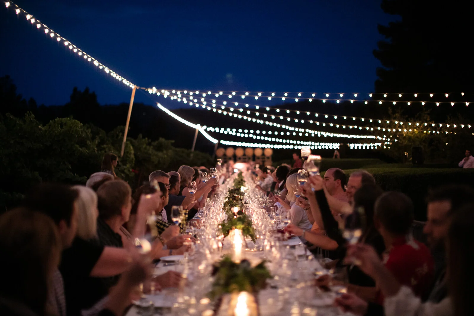 Turnbull-StagDining-HarvestDinner2015-360-proof.jpg