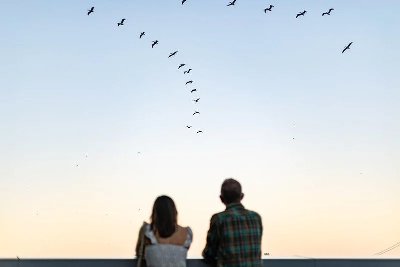 Surfrider Foundation One Ocean @ The Exploratorium