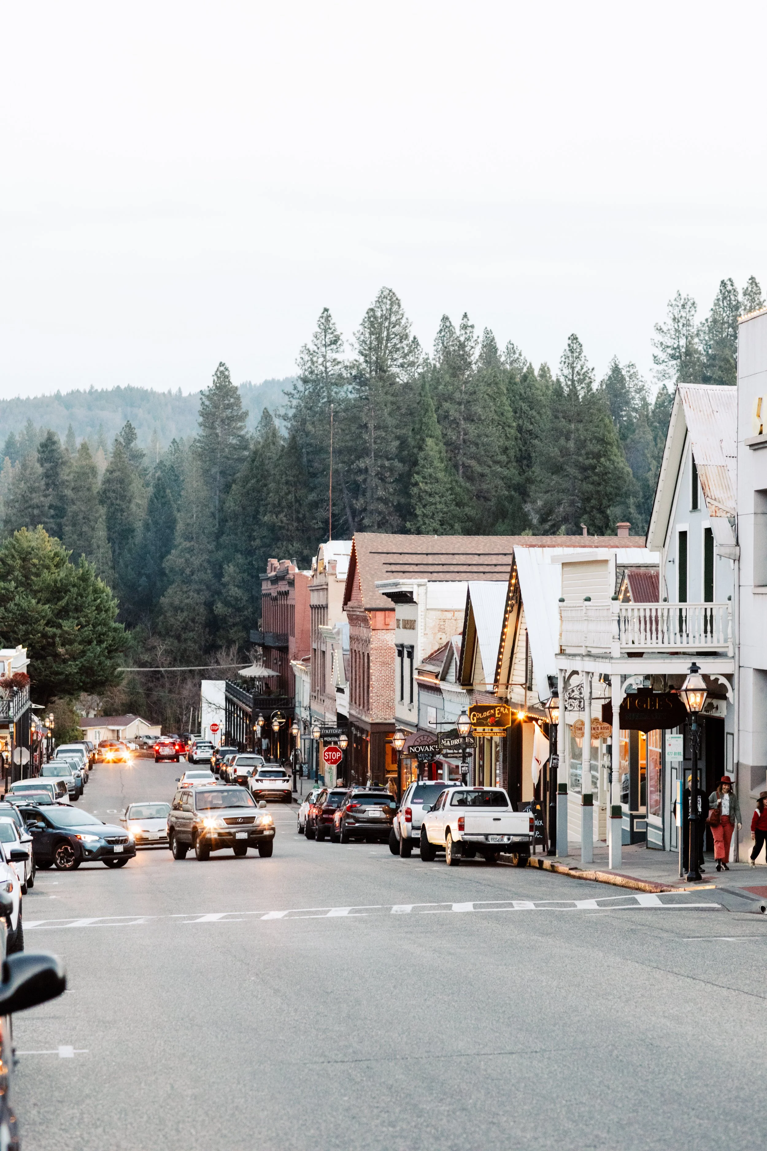 2026-02-01 Pollys Paladar Nevada City-7105.jpg