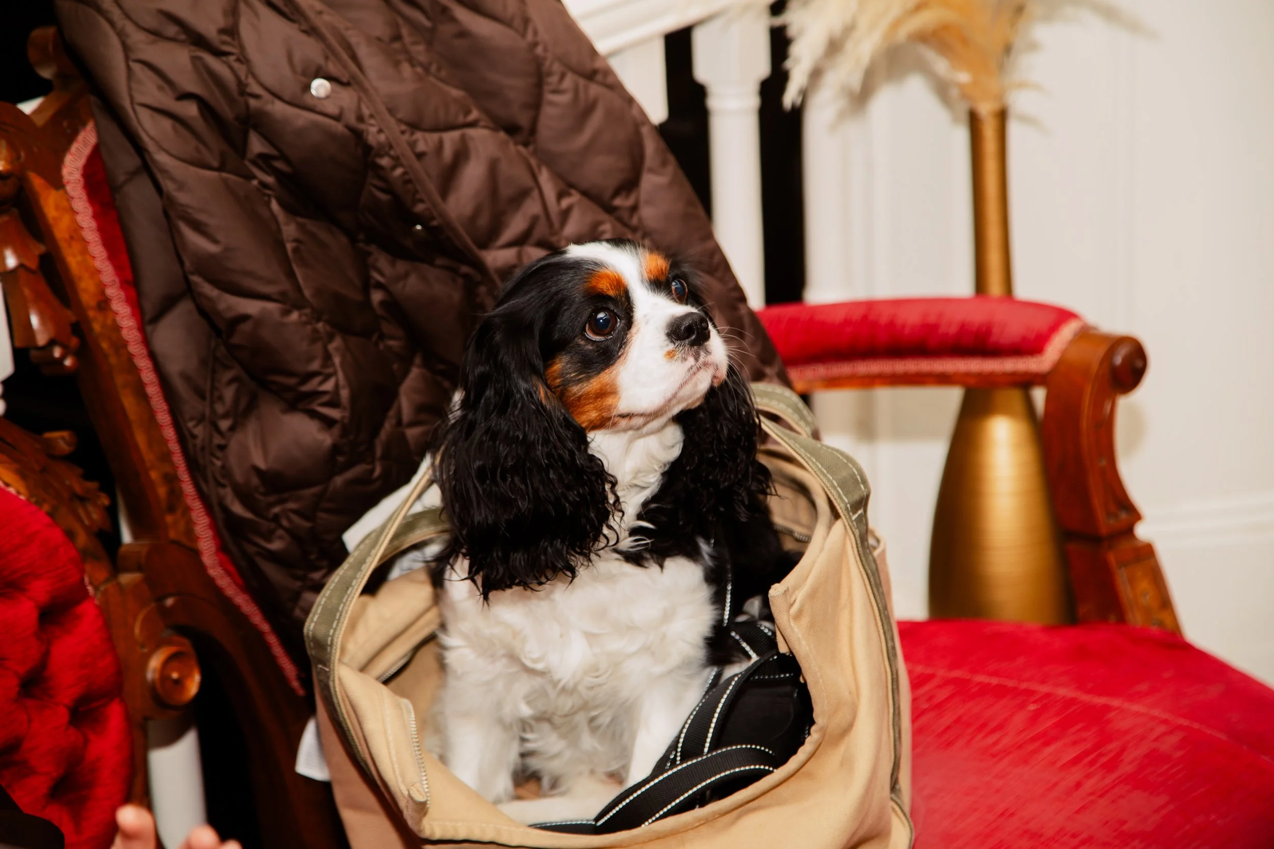 2026-02-01 Pollys Paladar Nevada City-7204.jpg