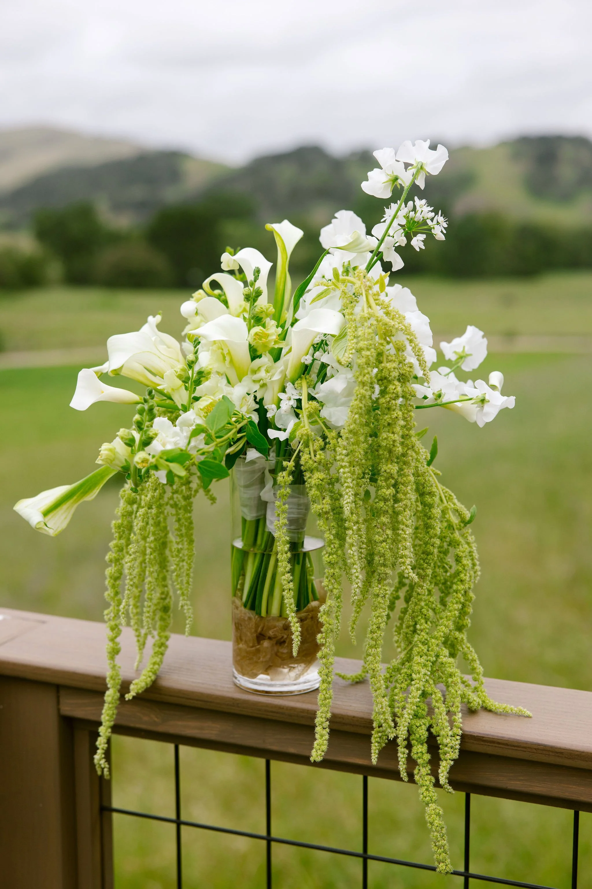 GinnyEmily_WeddingPreviews015.JPG