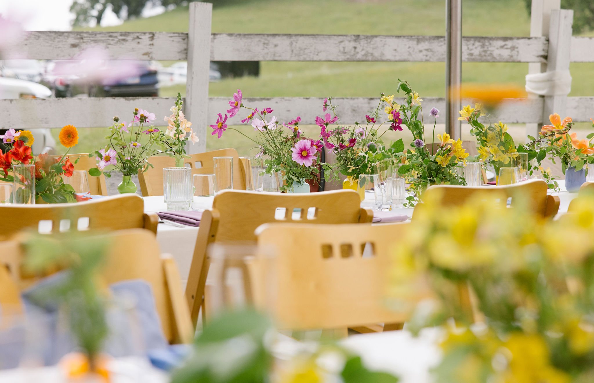GinnyEmily_WeddingPreviews058.JPG